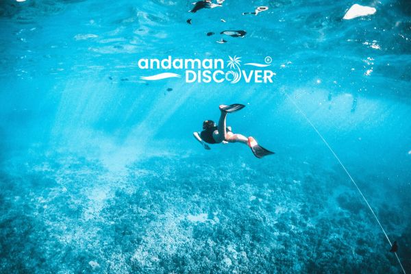 Snorkeling in Elephanta Beach, Havelock