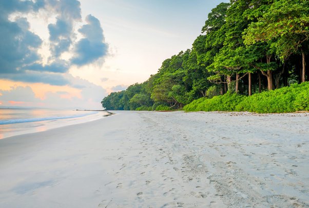 AMAZING ANDAMAN