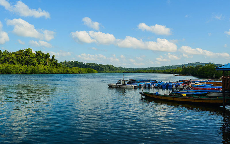 Day Trip Baratang Island