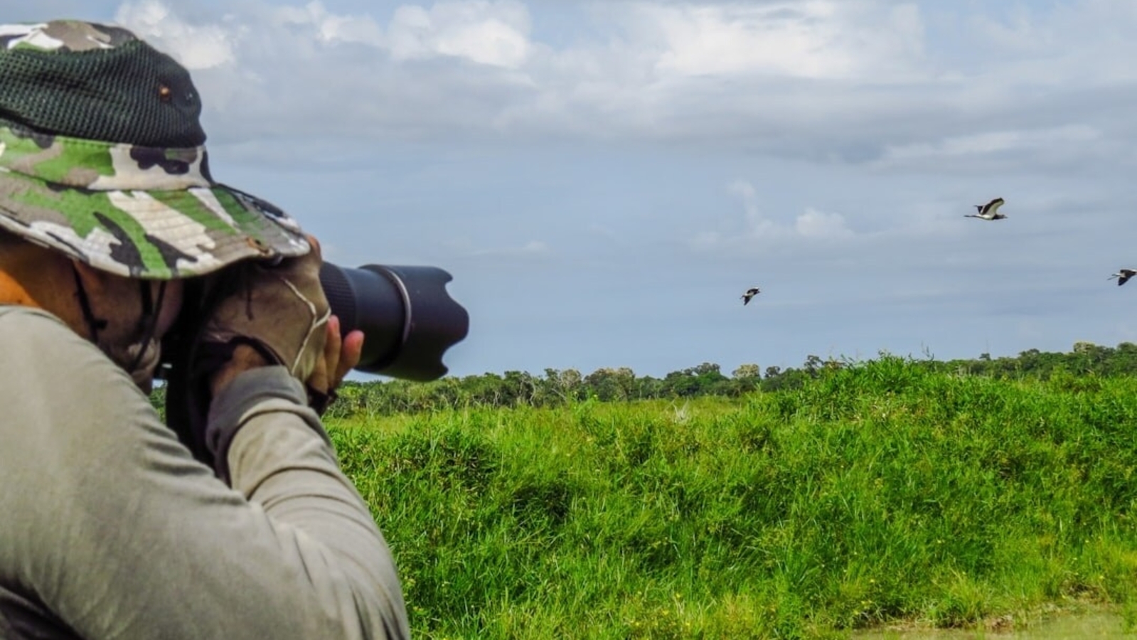  Bird Watching in Andaman